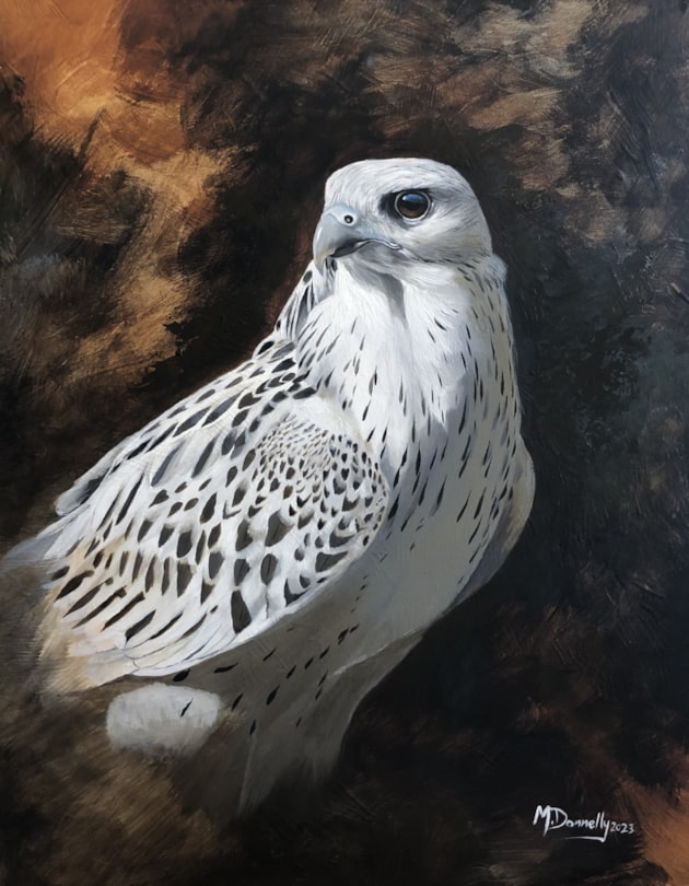 Gyr portrait